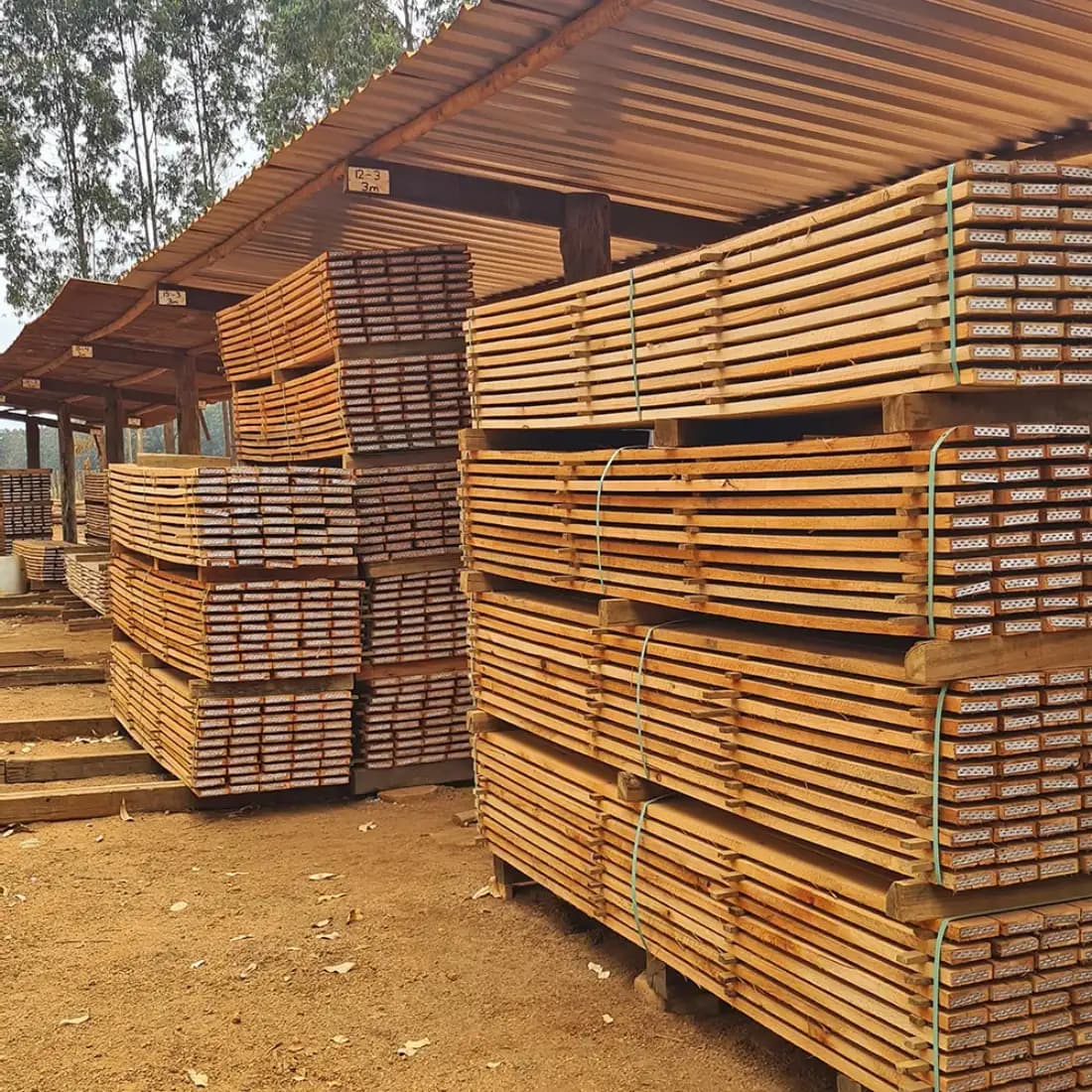 Piles de planches et règles d’eucalyptus sciées et traitées en autoclave, stockées sous abri