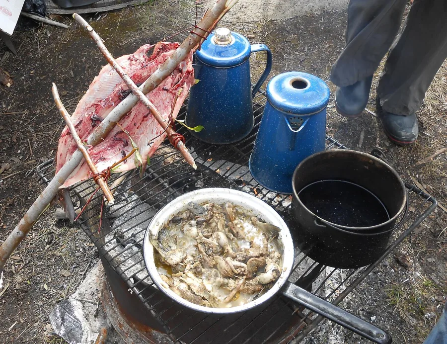 Poisson grillé, sauce vierge, photographie illustrative issue de Wikimedia Commons