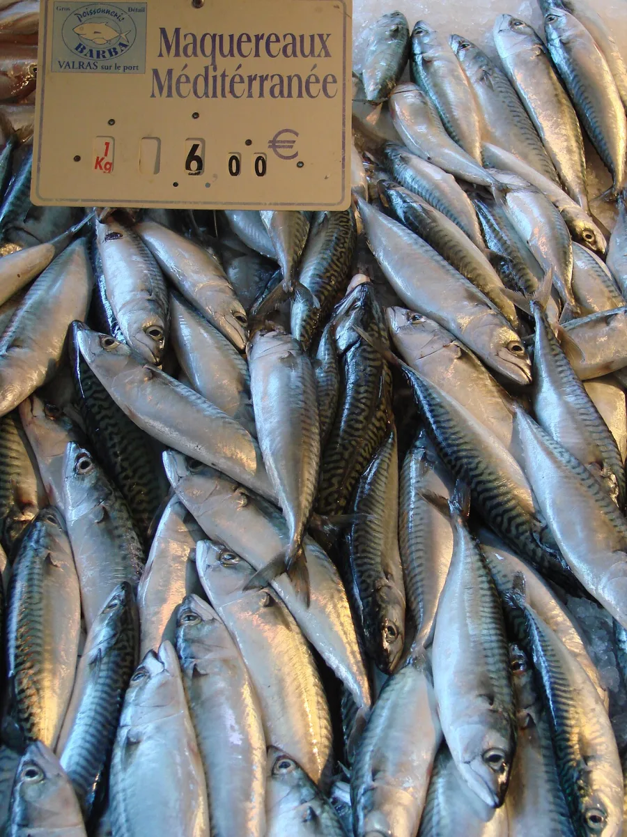 Poisson rôti, citron et câpres, photographie illustrative issue de Wikimedia Commons